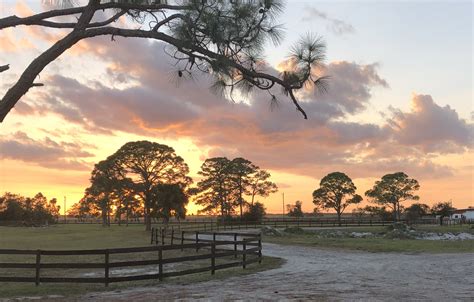 Sunset ranch - Sunset Ranch, Texas, Sunset. 366 likes · 24 talking about this. Texas Leisure Ranch seated on 30 acres with a private pool, playground and hot tub. Come experience the beauty of Texas.
